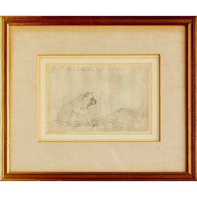 Henry B. Chalon, graphite on paper, Pug