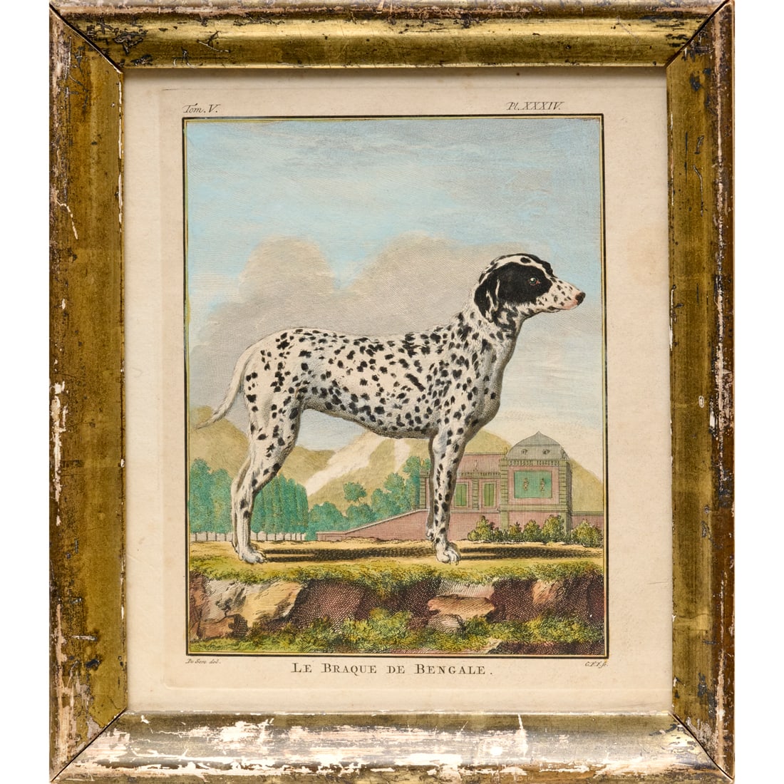 Jacques De Seve, hand-colored engraving, 18th c.: Jacques De Seve, hand-colored engraving, 18th c., Jacques Eustache De Seve, (French, 1742-1788), "Le Braque de Bengale" (Bengal Pointer), watercolor and copperplate engraving, framed under glass, 8.75