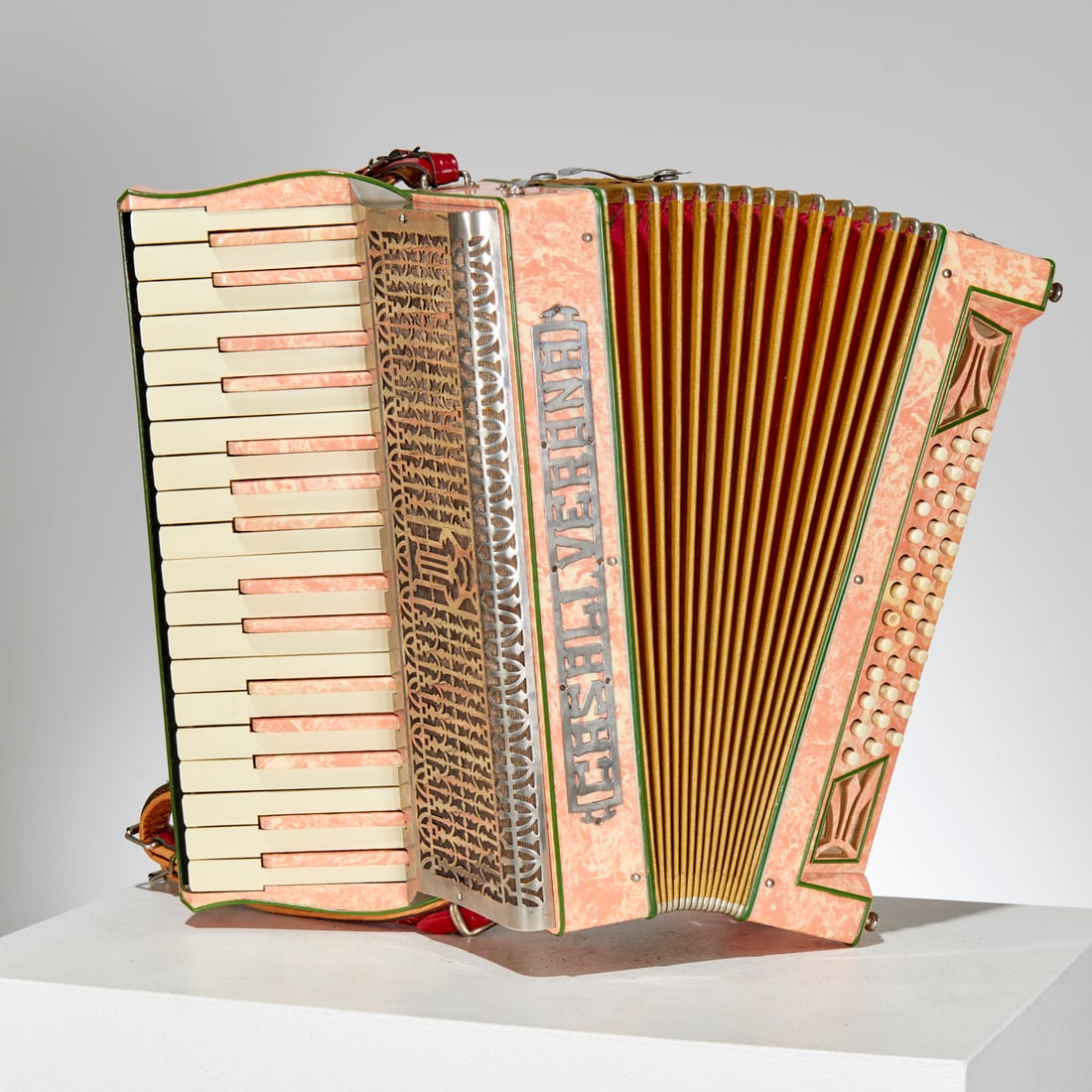 Casali Verona Italian accordion in case (1 of 8)