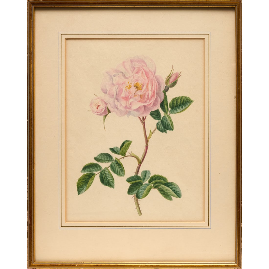 French botanical watercolor on paper (1 of 8)