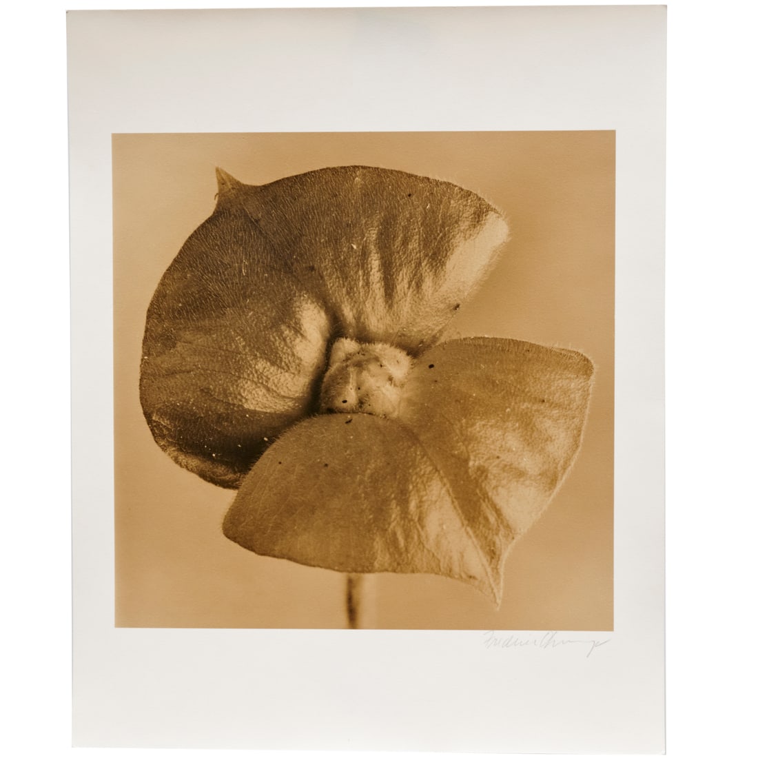 Frederic Ohringer, gelatin silver print (1 of 6)