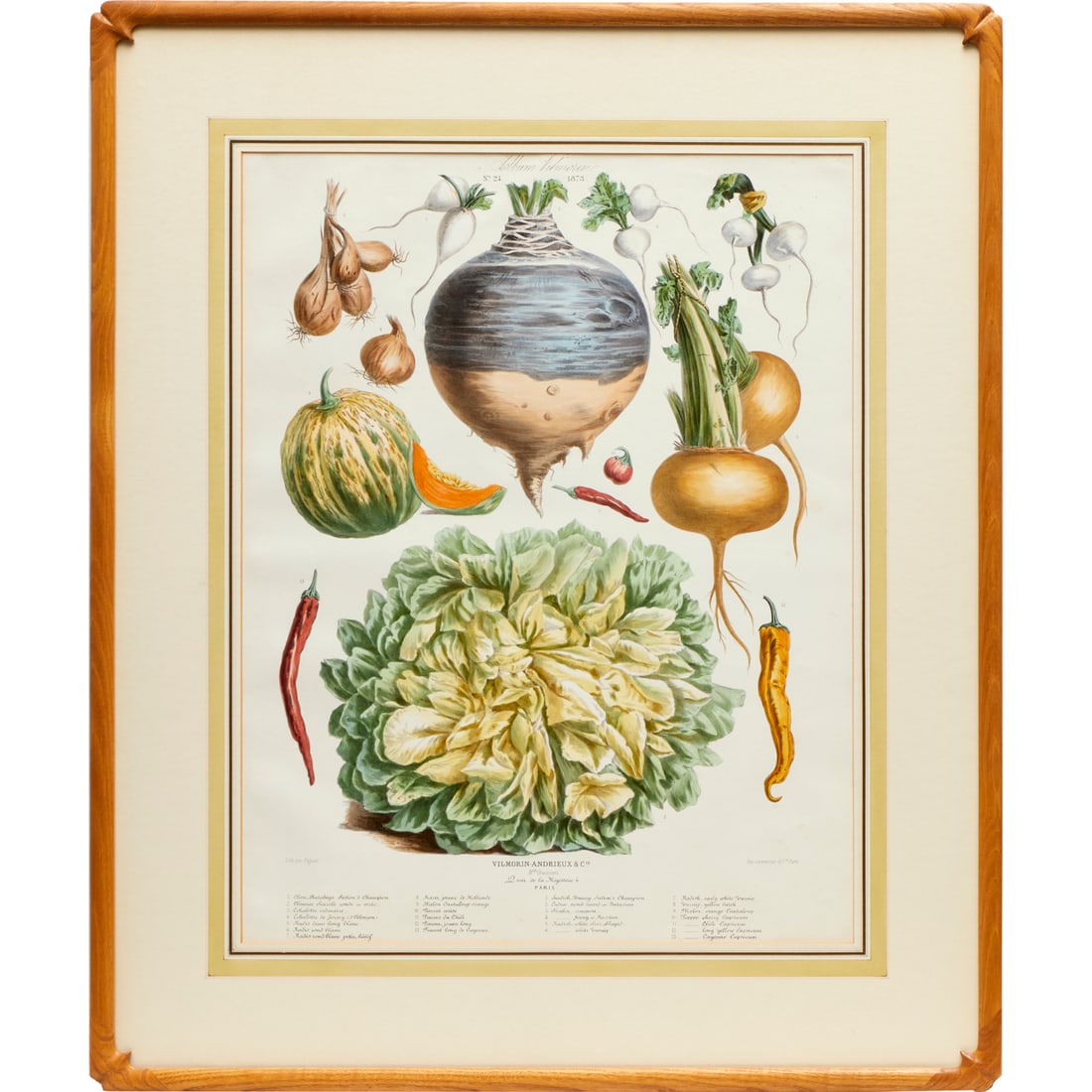 Album Vilmorin, color lithograph, 1873: Album Vilmorin, color lithograph, 1873, Vilmorin-Andrieux & Cie, Paris, plate No. 24, lithography by E. Godard, printed by Lemercier & Cie, matted and framed under glass, 24.25"h x 18.75"w (sight), 33