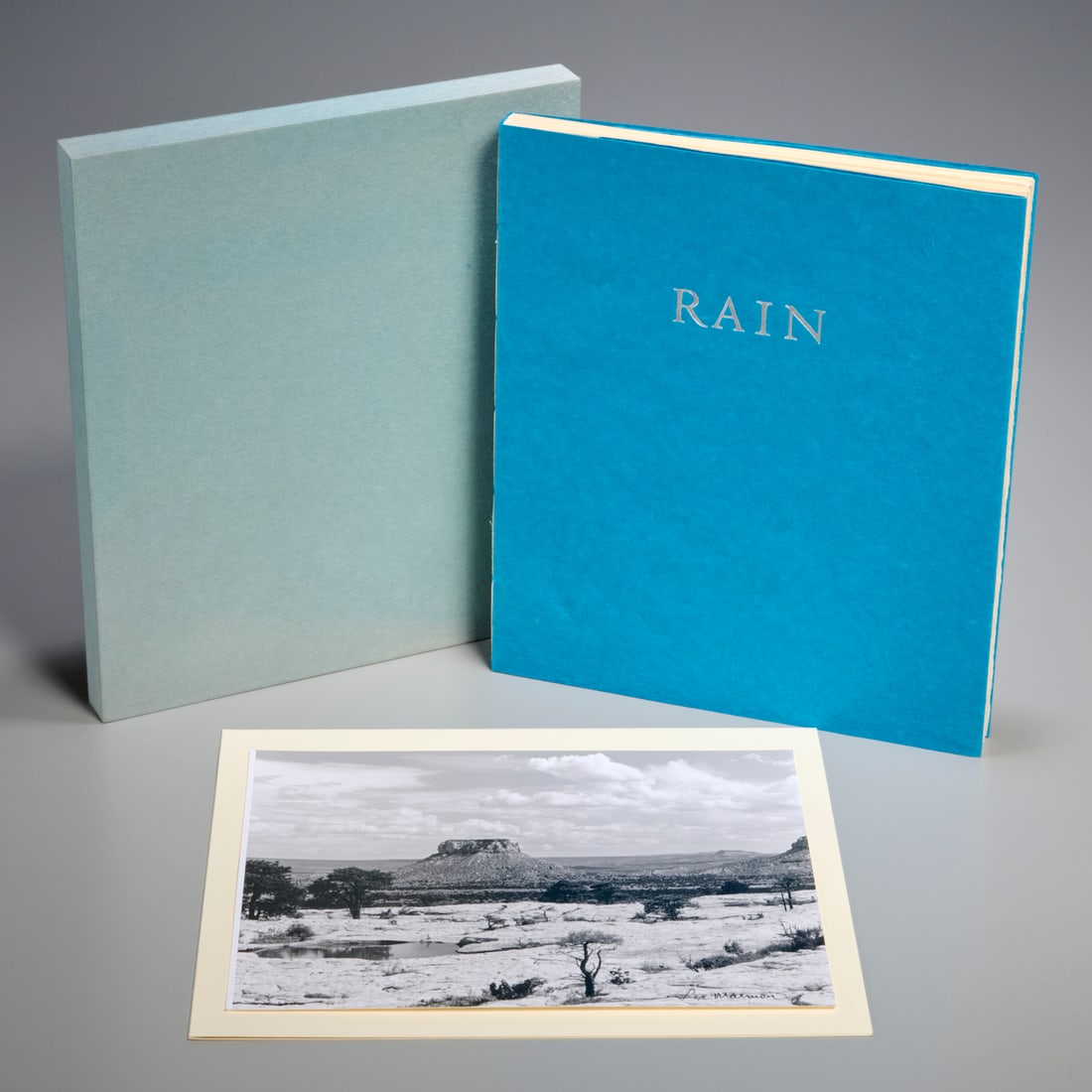 Leslie Marmon Silko, Rain, 1996 (1 of 8)
