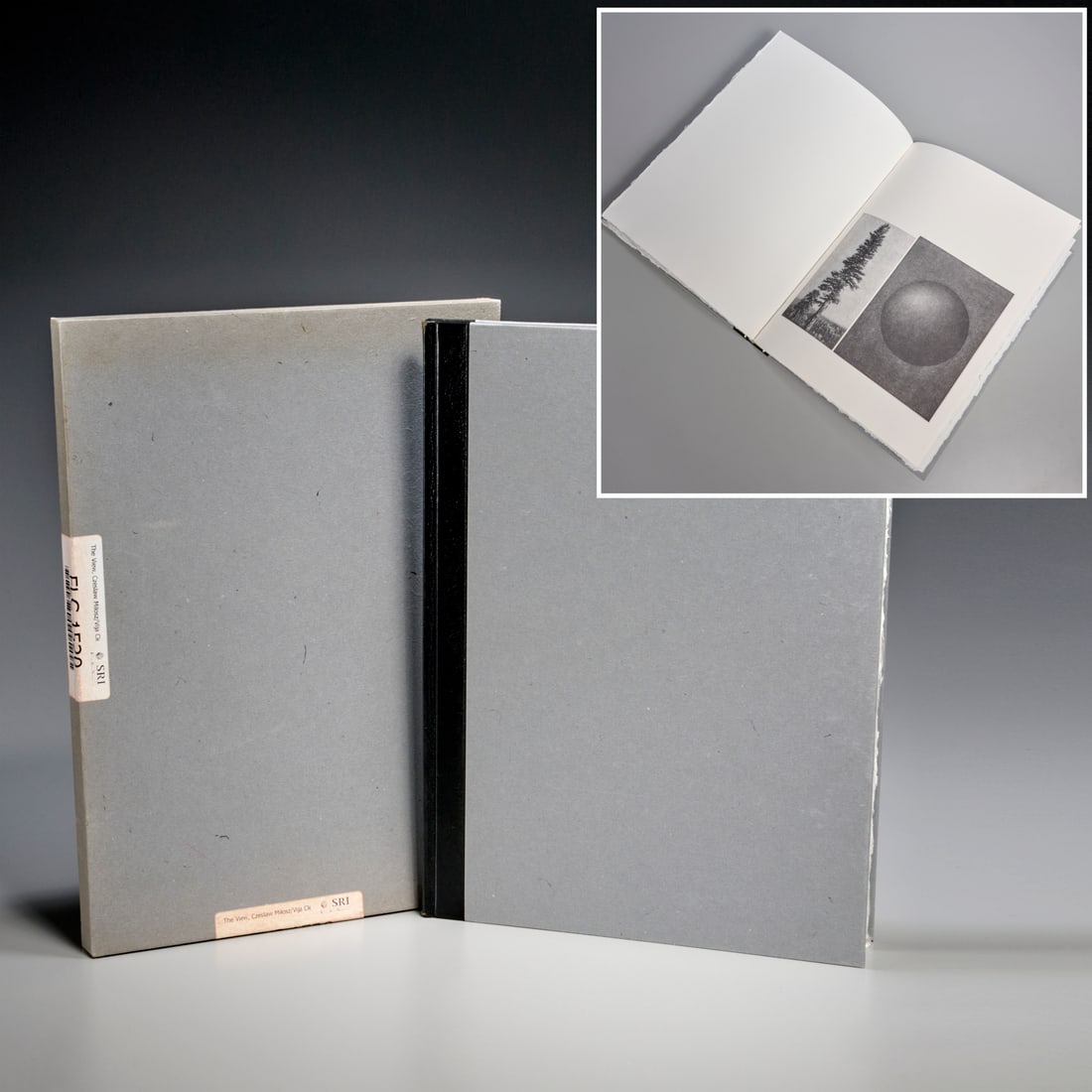 Vija Celmins, The View, 1985, signed (1 of 6)