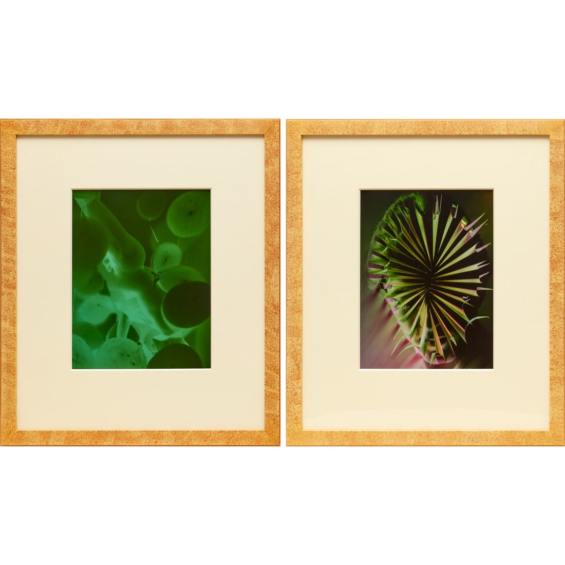 Jimmy DeSana, (2) Cibachrome photographs: Jimmy DeSana, (2) Cibachrome photographs, Jimmy DeSana (American, 1949-1990), "Balloons", 1985, and Untitled, no signature observed, gallery label verso of one, each 13.5"h x 10"w (sight), 24.5"h x