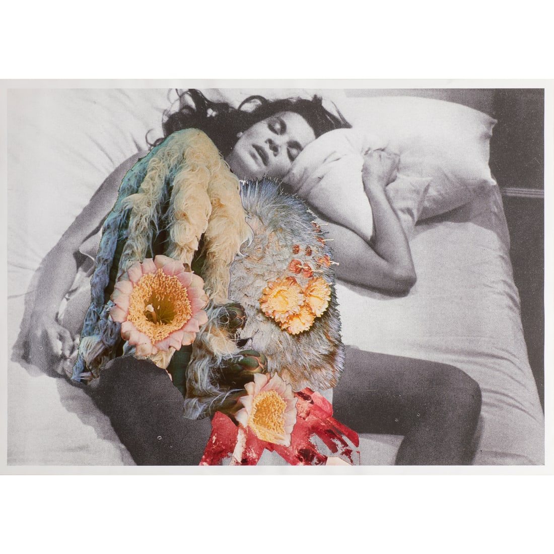 Jonah Freeman & Justin Lowe, offset collage (1 of 9)