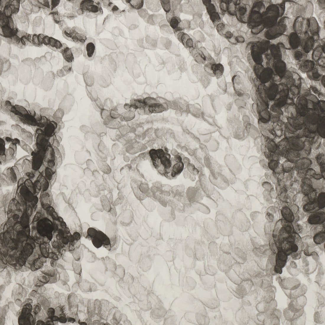 Chuck Close, large silkscreen on paper, signed - 2
