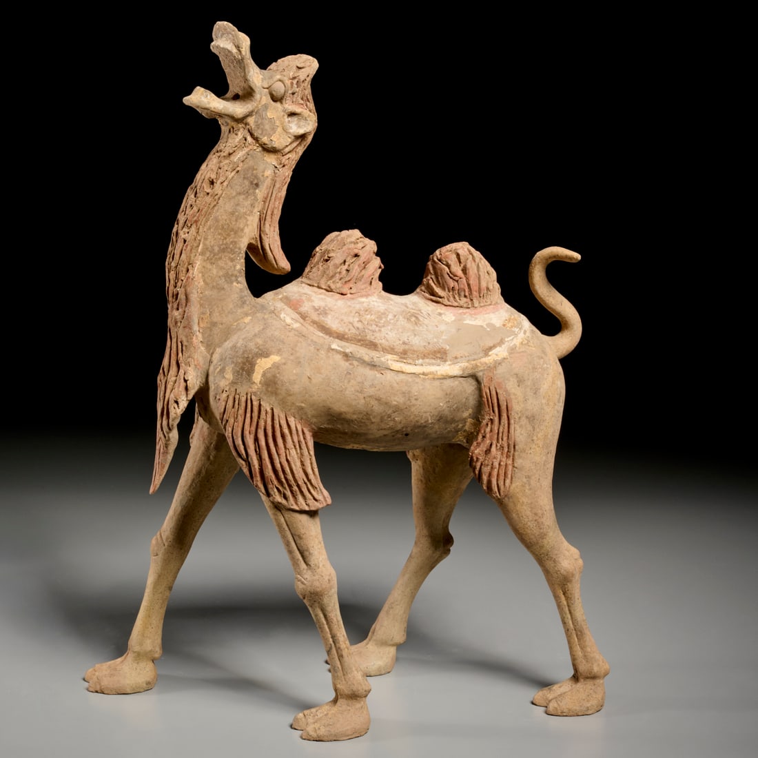 Large Tang Dynasty style terracotta camel: Large Tang Dynasty style terracotta camel, Possibly of the period (618?907 AD), China, depicting a Bactrian camel with mouth agape, remnants of polychrome decoration, 18"h x 13.5"l x 5.5"w Provenance: