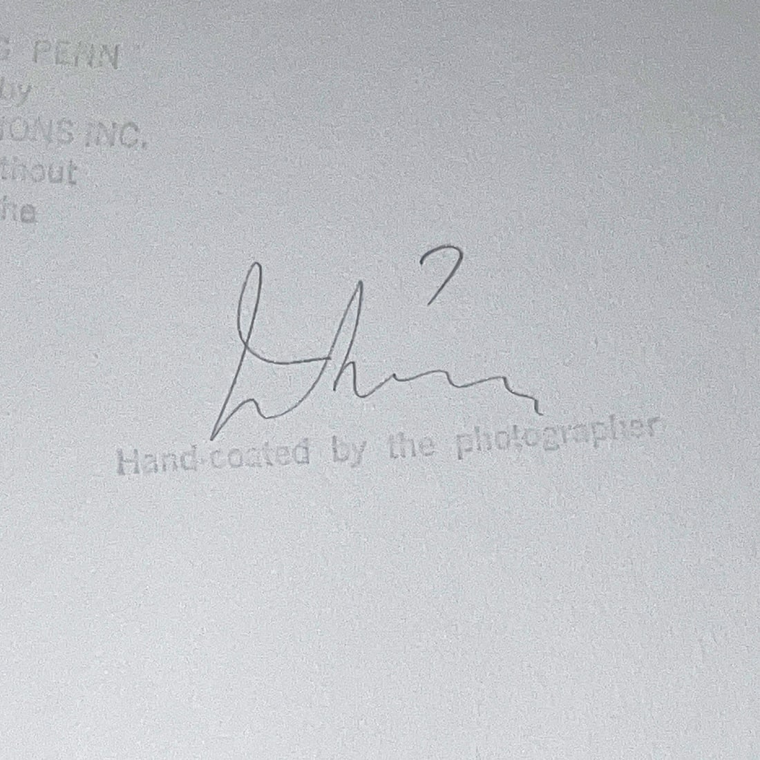 Irving Penn, palladium-platinum print, signed - 10