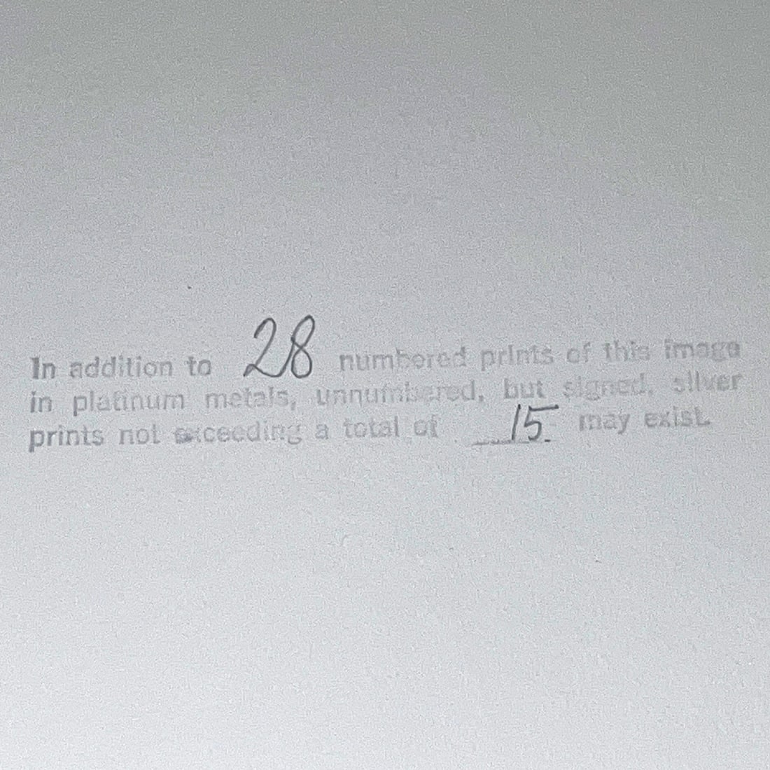 Irving Penn, palladium-platinum print, signed - 8