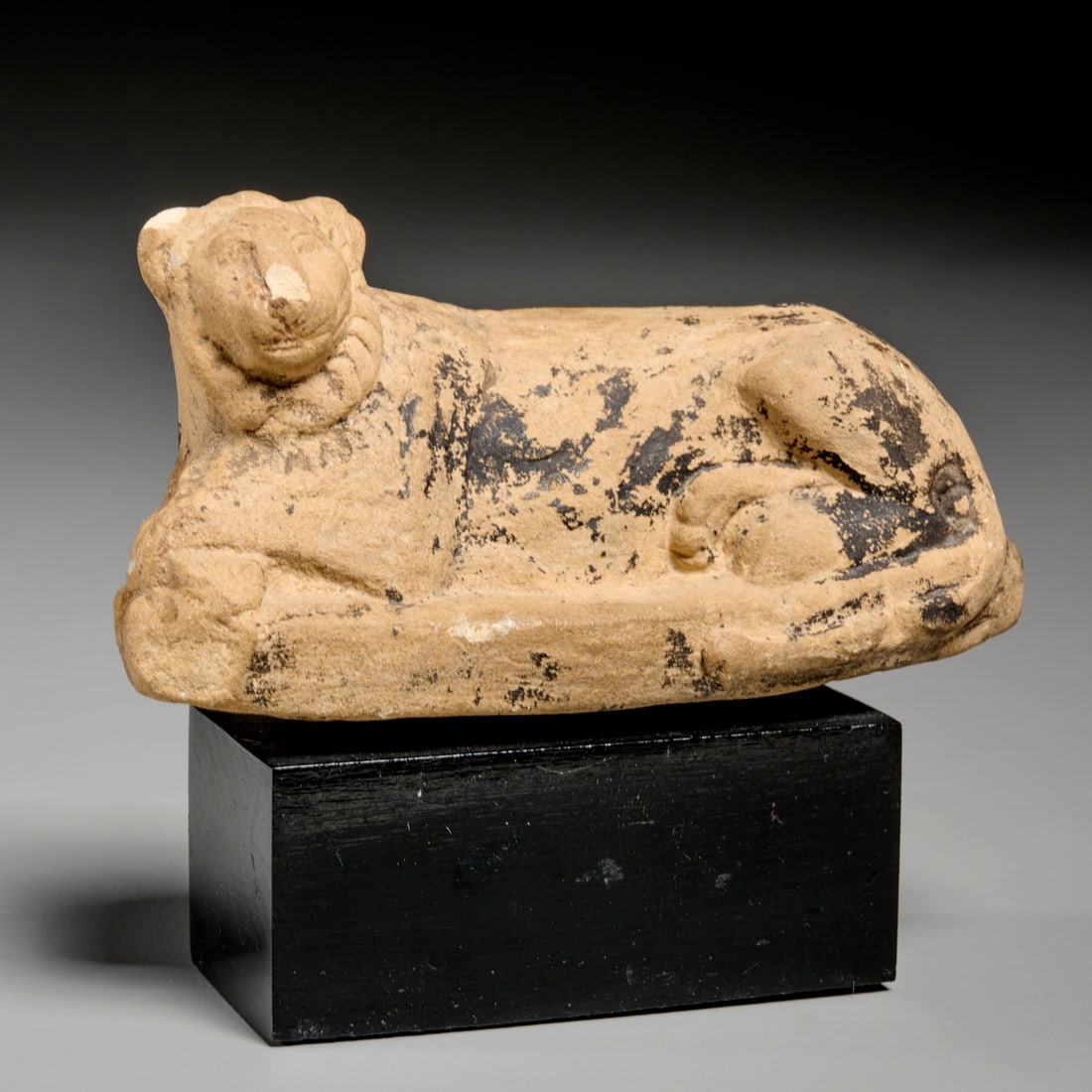 Egyptian carved limestone recumbent lion (1 of 5)