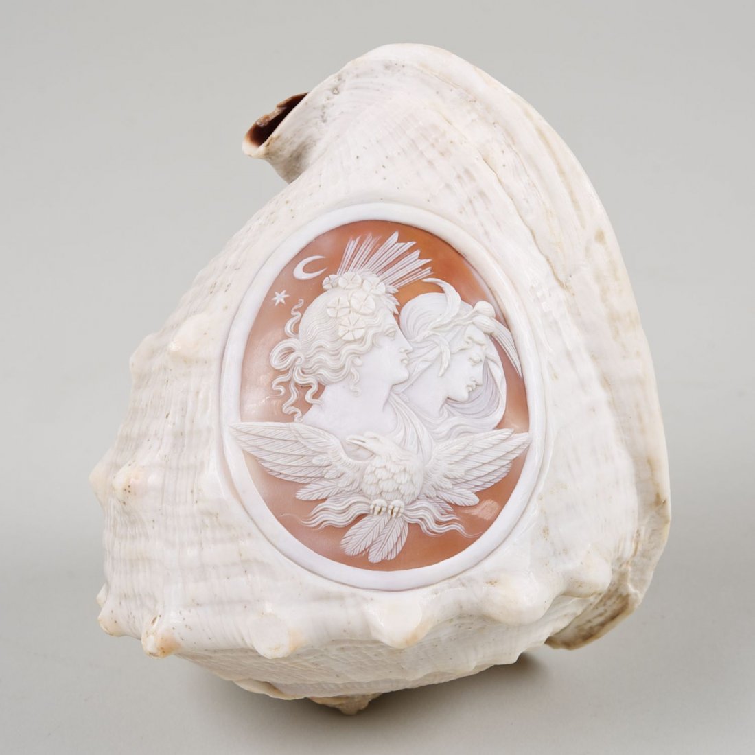 Italian Grand Tour full conch shell cameo: Italian Grand Tour full conch shell cameo: 19th/20th c., 6"h x 5"w