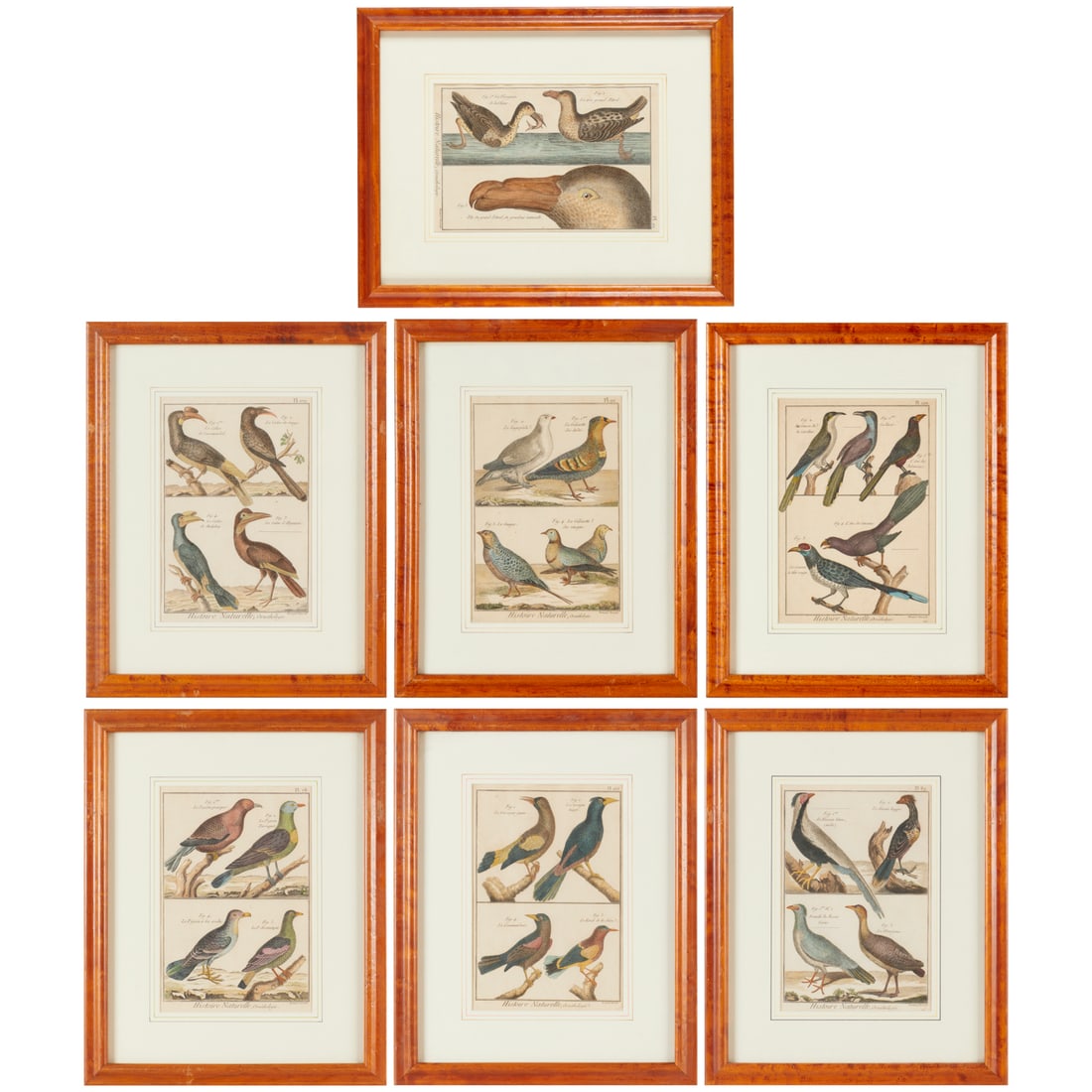 J. Benard, (7) hand-colored engravings, 18th c.: J. Benard, (7) hand-colored engravings, 18th c., Jacques Renaud [Robert] Benard (French, 1731-1794), plates 20, 78, 89, 92, 109, 166 and 220 from Diderot's Encyclopedie, matted and framed under