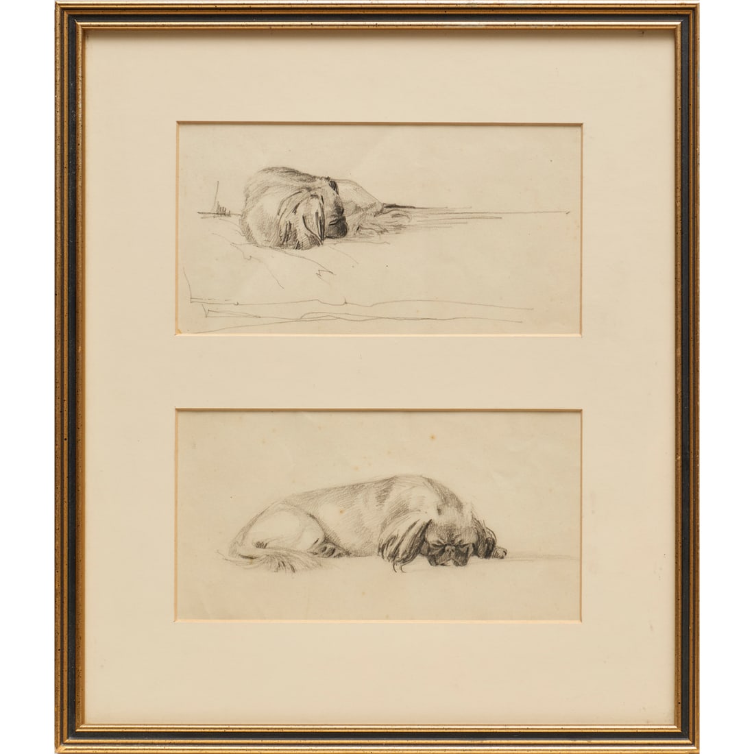 English School, canine drawings (1 of 7)