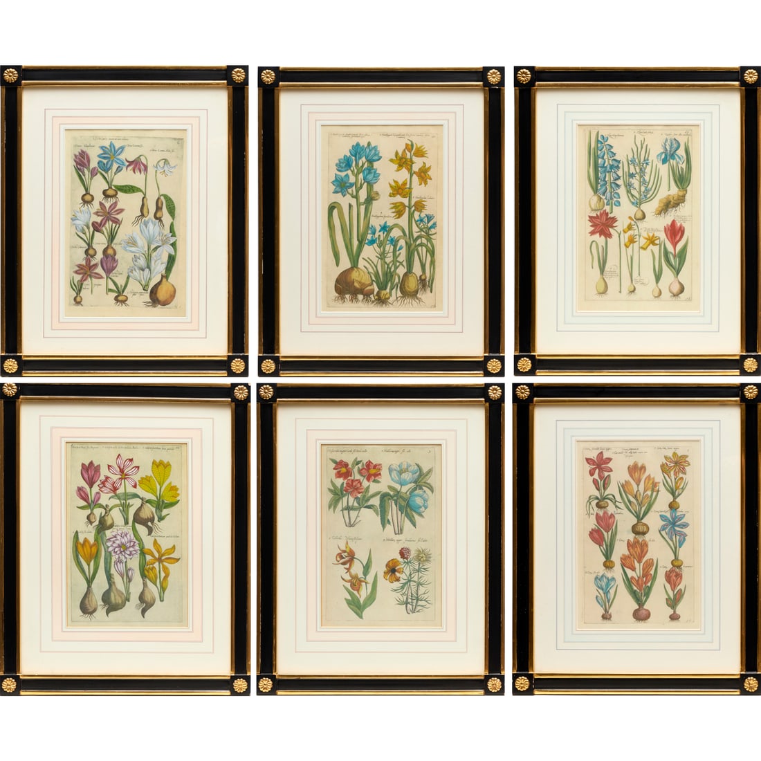 Emanuel Sweerts (after), (6) botanical prints (1 of 4)