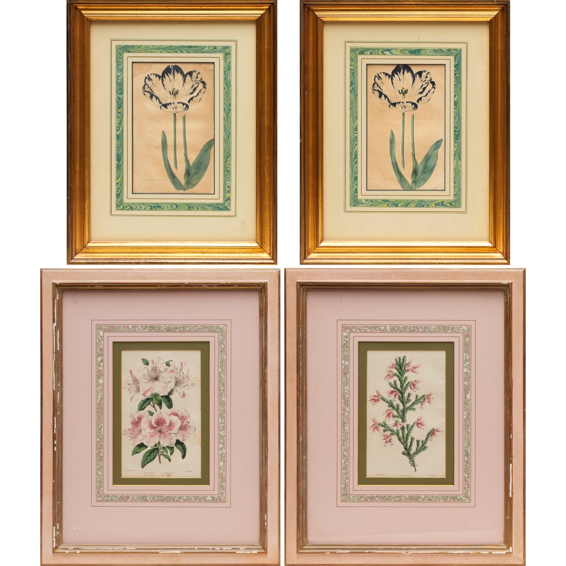(4) Hand-colored botanical engravings (1 of 7)