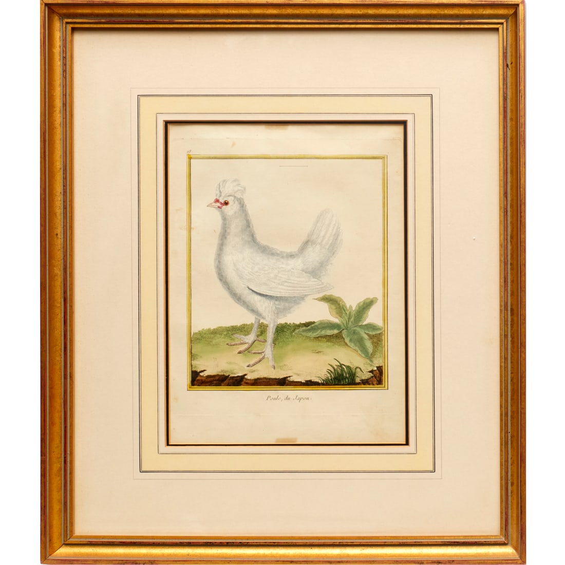 Francois Nicolas Martinet, hand-colored etching (1 of 6)