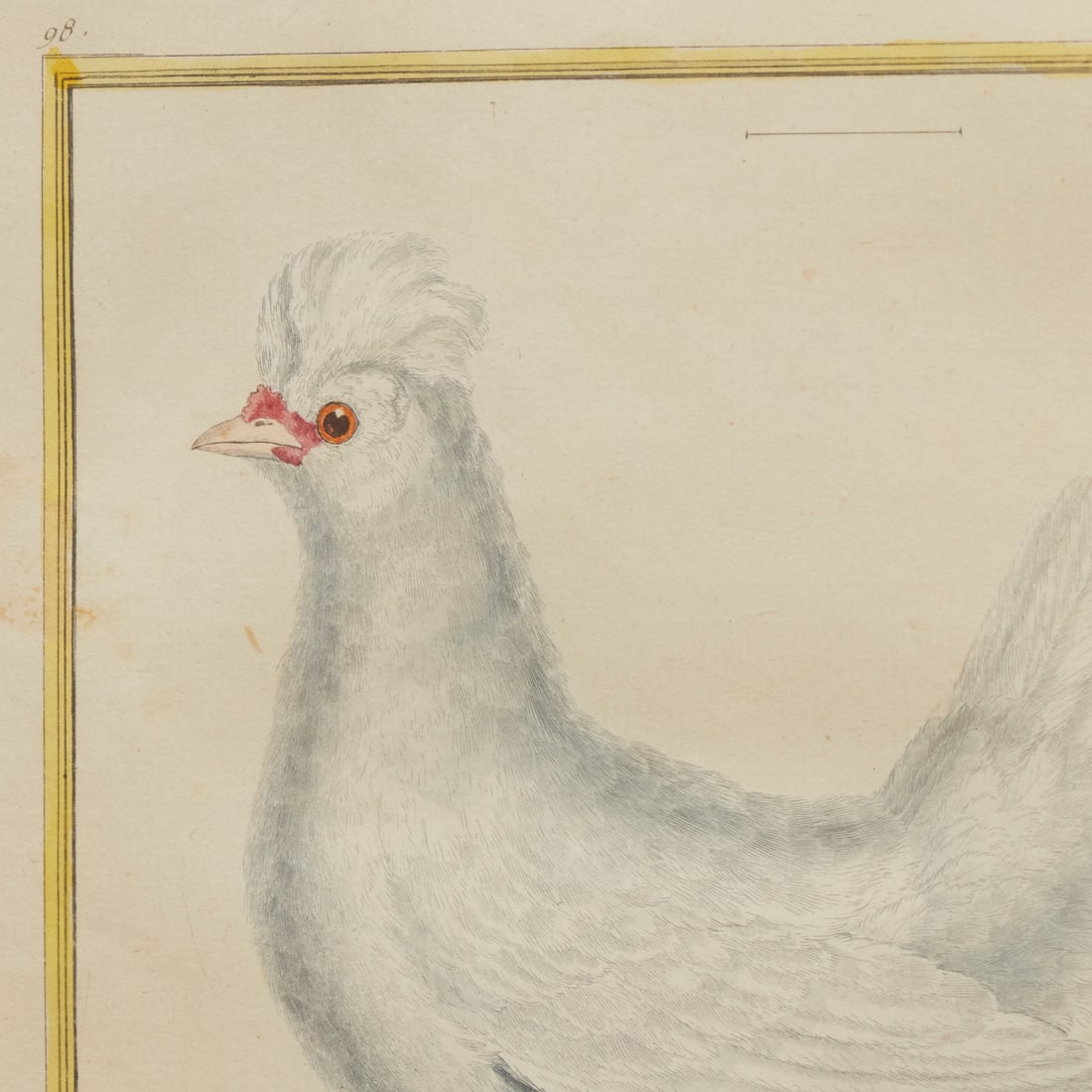 Francois Nicolas Martinet, hand-colored etching - 2