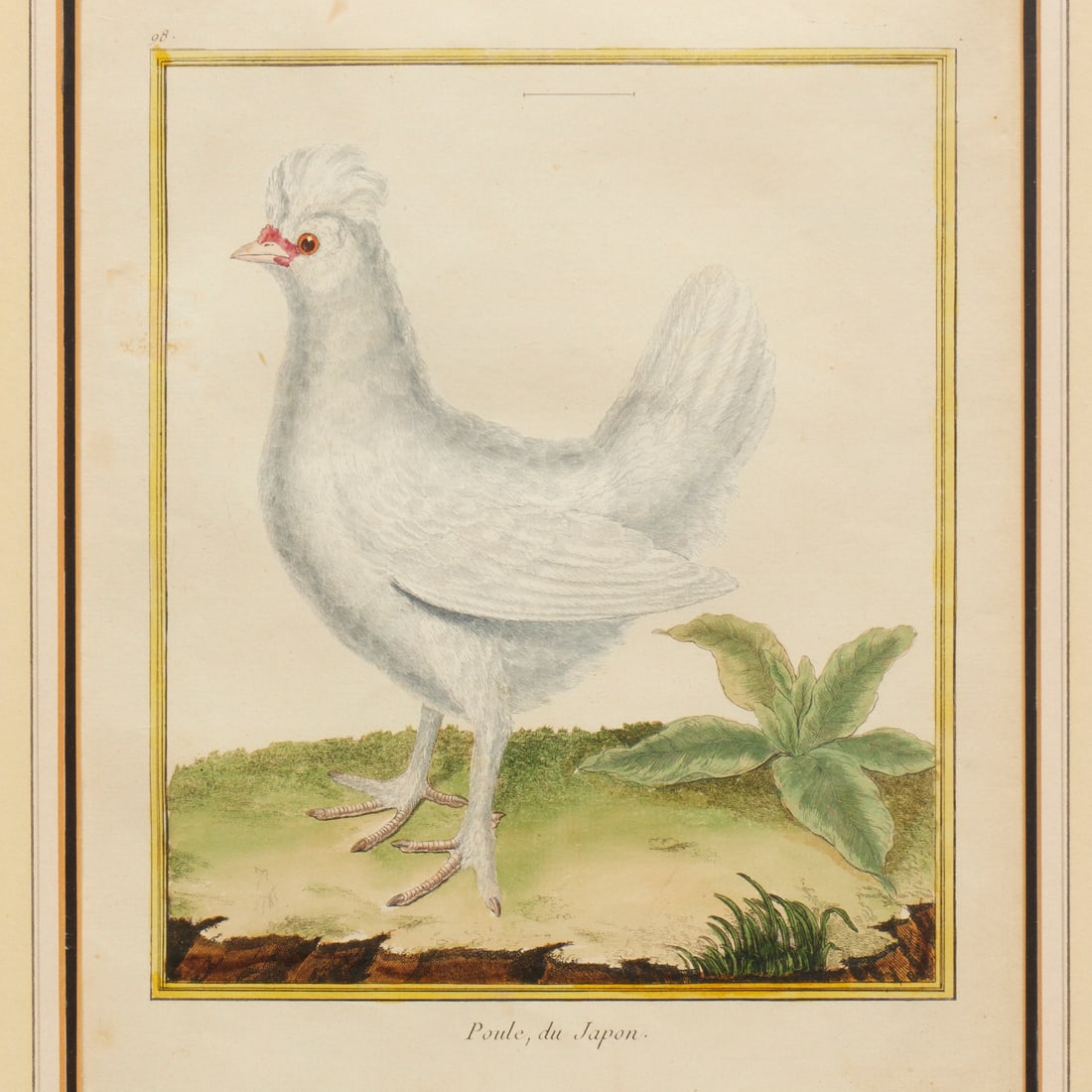 Francois Nicolas Martinet, hand-colored etching - 3