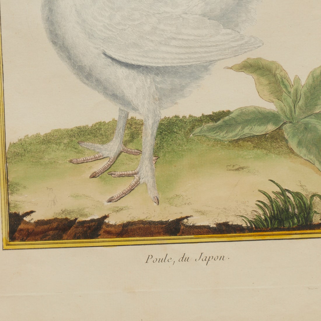 Francois Nicolas Martinet, hand-colored etching - 4