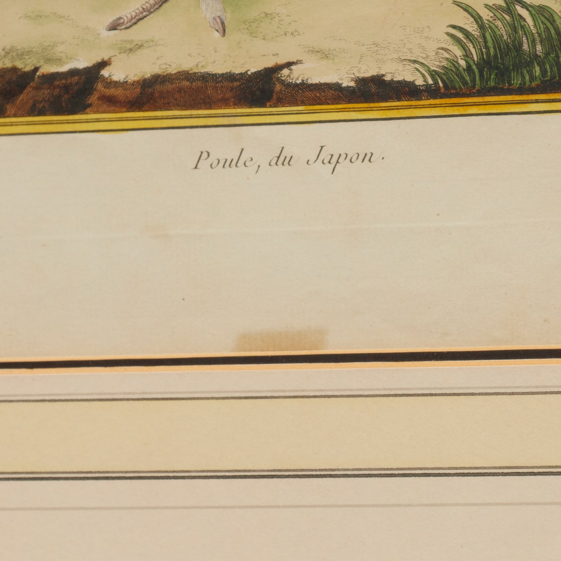 Francois Nicolas Martinet, hand-colored etching - 5