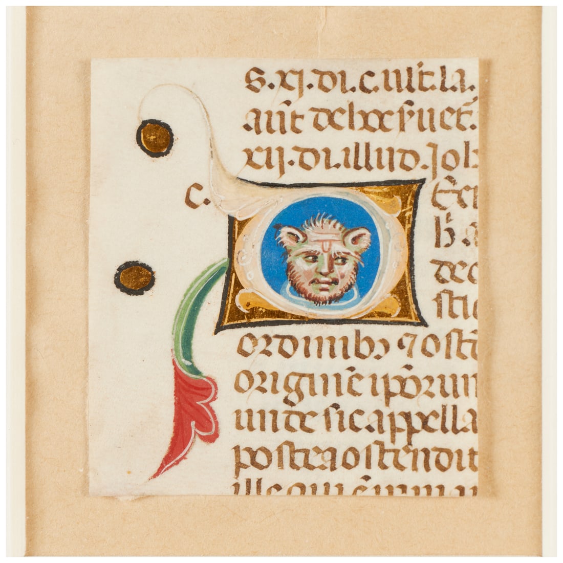 European illuminated manuscript fragment: European illuminated manuscript fragment, Possibly 15th-17th c., gouache and gold on vellum, featuring a lion-faced figural initial, Latin text, 2"h x 1.75"w (fragment), 9"h x 8.75"w (frame)