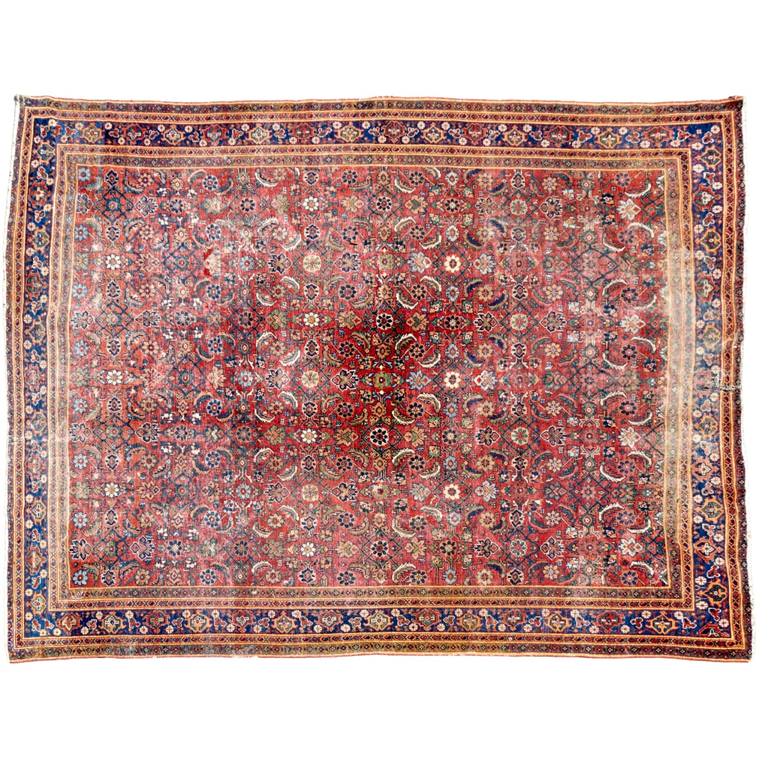 Sarouk hand knotted rug (1 of 8)