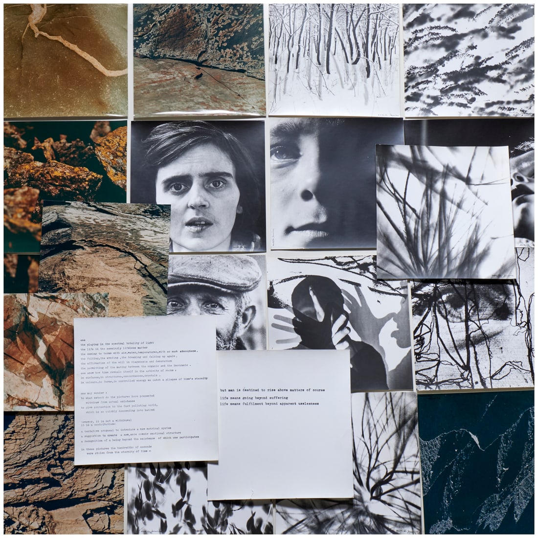 Mathilde Jurrissen, (19) photographs (1 of 8)