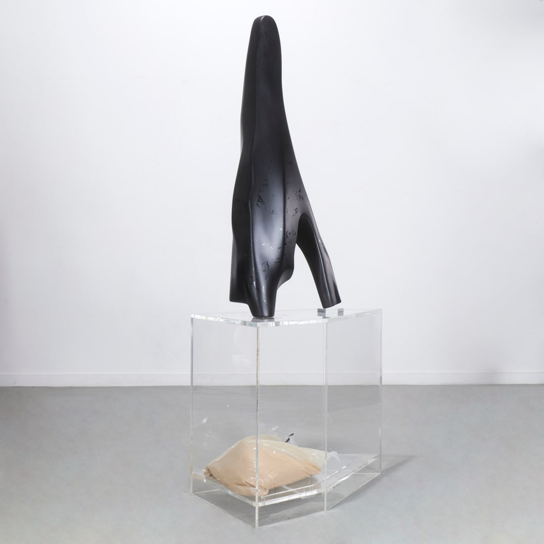 Ara Dymond, large mixed media sculpture, 2013: Ara Dymond, large mixed media sculpture, 2013, Ara Dymond (American, 1978-2022), "God and Famous to all ages - Ditto", unsigned, cotton, resin, polyester, filler, paint, plexiglass and sandbag, approx