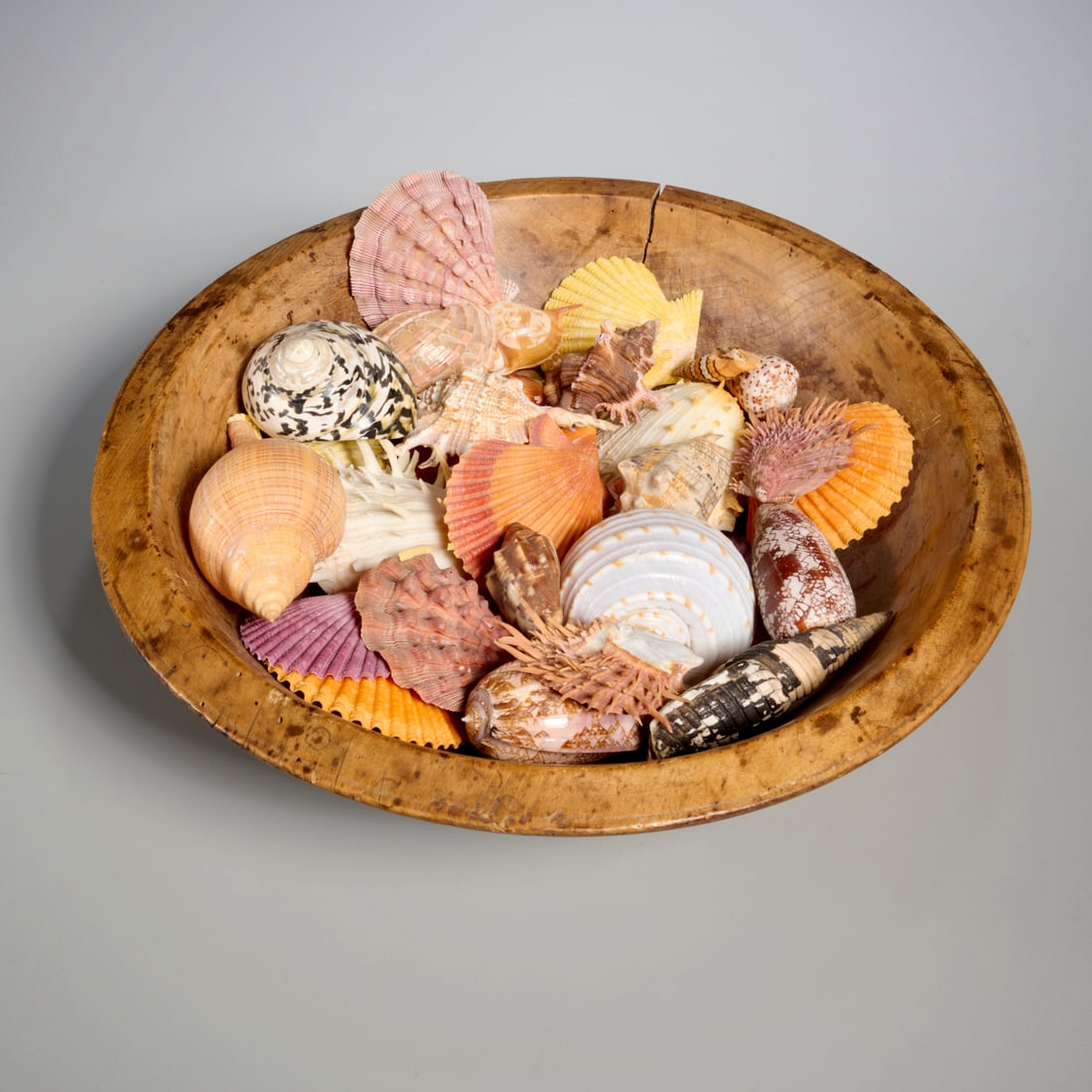 Primitive dough bowl filled with exotic seashells (1 of 6)