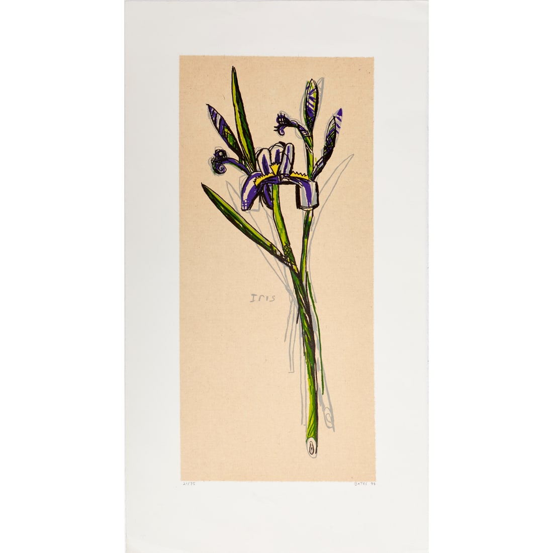 David Bates, lithograph on paper, 1998 (1 of 9)