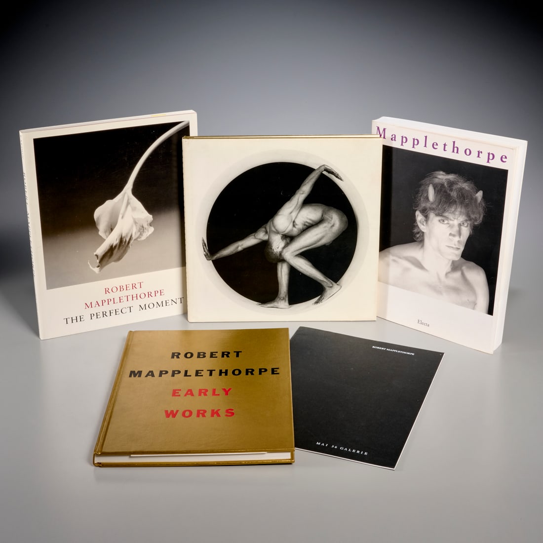 Robert Mapplethorpe, (5) exhibition catalogues (1 of 7)
