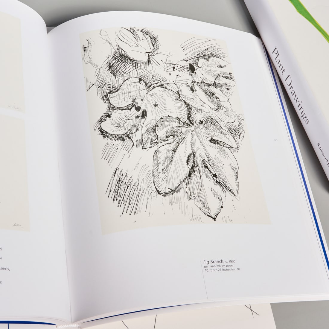 Ellsworth Kelly, Plant Drawings, (3) Vols. Auction