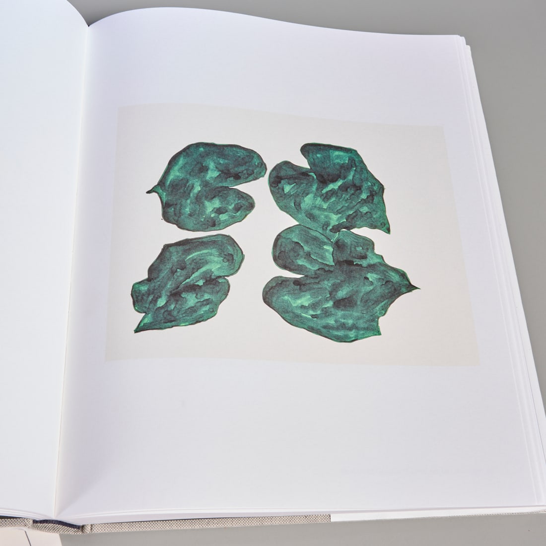 Ellsworth Kelly, Plant Drawings, (3) Vols. Auction