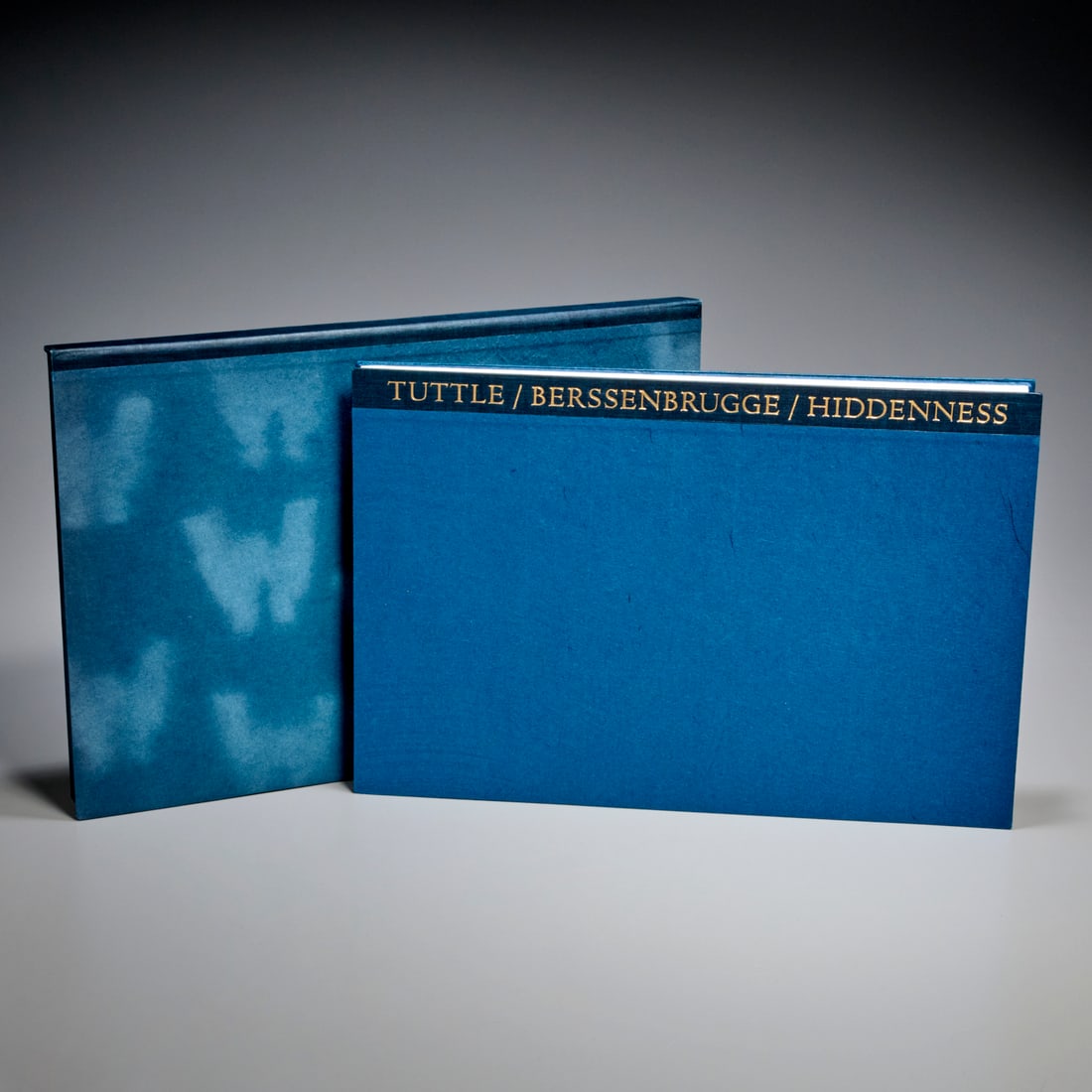 Berssenbrugge & Tuttle, Hiddenness, 1987 (1 of 6)