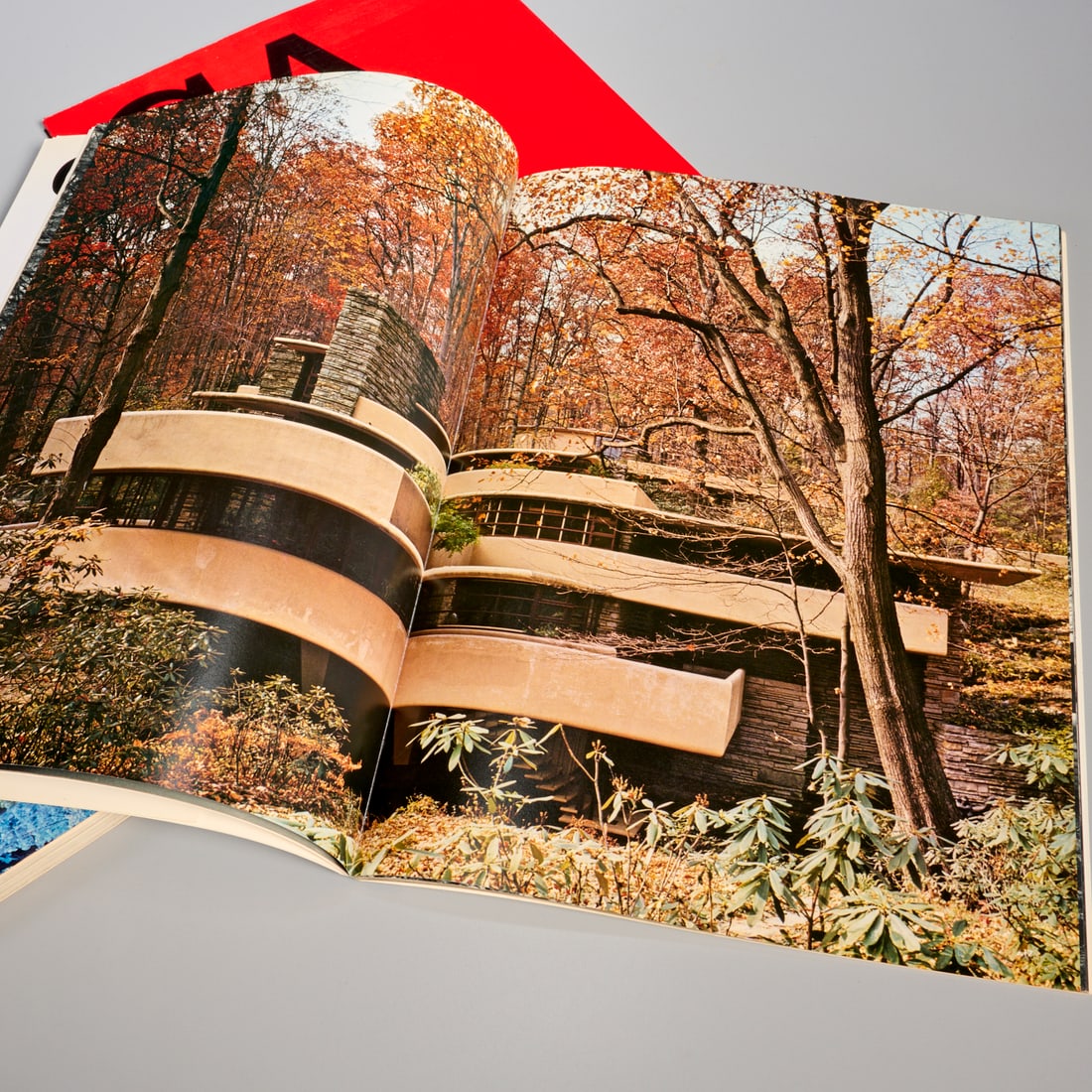 Frank Lloyd Wright Global Architecture & Interior - 3