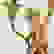 item-35624331=2