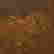 item-41911315=3