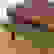 item-41911369=2
