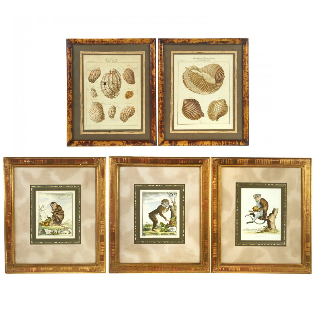 Continental zoological engravings (1 of 9)