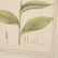 Set (12) antique French matted botanical prints - 5