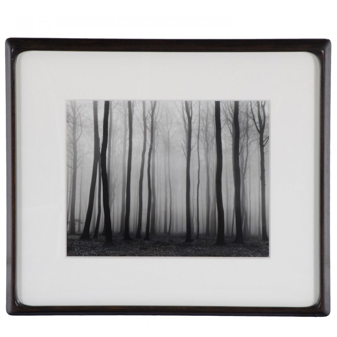 Vincent Vallarino, photograph (1 of 4)