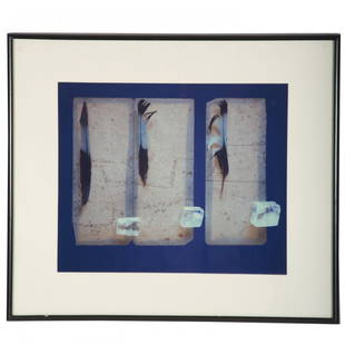 Olivia Parker, photographic print: Olivia Parker, photographic print, Olivia Parker (American, b. 1941), "#28 New Ground", 1981, polaroid print, 19.5"l x 24"w (sight), matted and framed under glass