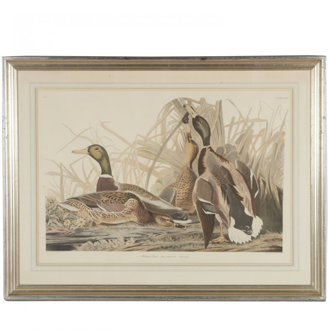 After John James Audubon, print (1 of 10)