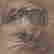 item-48416008=2