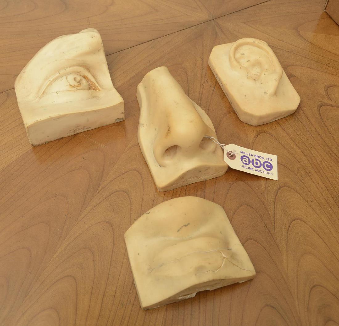 (4) Sculpture House study casts of David (1 of 4)