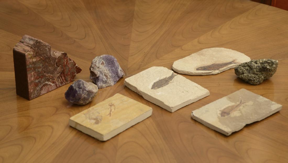 Fossil and mineral collection (1 of 6)