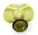 LOETZ IRIDESCENT SATIN FINISH - 5