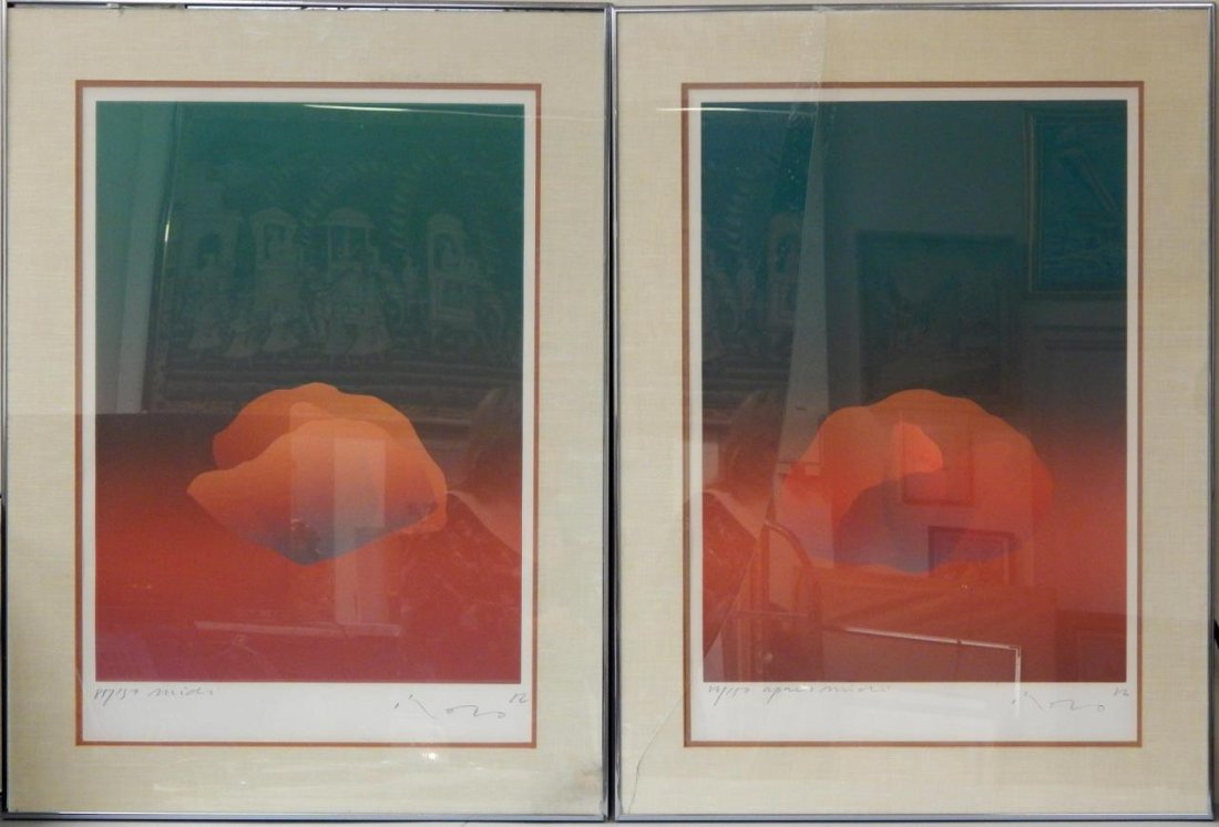 2 KOZO LITHOGRAPHS PENCIL SIGNED NUMBERED & TITLED: A pair of Kozo lithographs depicting flowers. Mounted in silver metallic frames with matting and glass screen (one screen broken, see photos). Each pencil signed, numbered and titled. Each measures ap