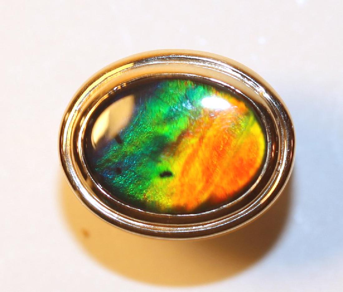 14K Yellow Gold Ammolite Ring: 14k yellow gold high polish finish with bezel set ammolite. Condition, normal wear. Ammolite clarity is eye clean, cut is clean. Green, red, blue and yellow play of color. TW of Ring: 8.63gm Size: 7 T